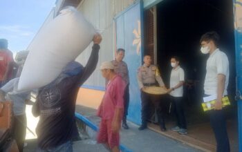 Jagung Aman, Warga Mandiri: Langkah Nyata Polri Wujudkan Ketahanan Pangan Lokal