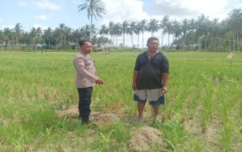 Kemandirian Pangan: Bhabinkamtibmas Dorong Warga Banyu Urip Bertani